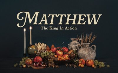 Matthew 8:1-4 I June 1st